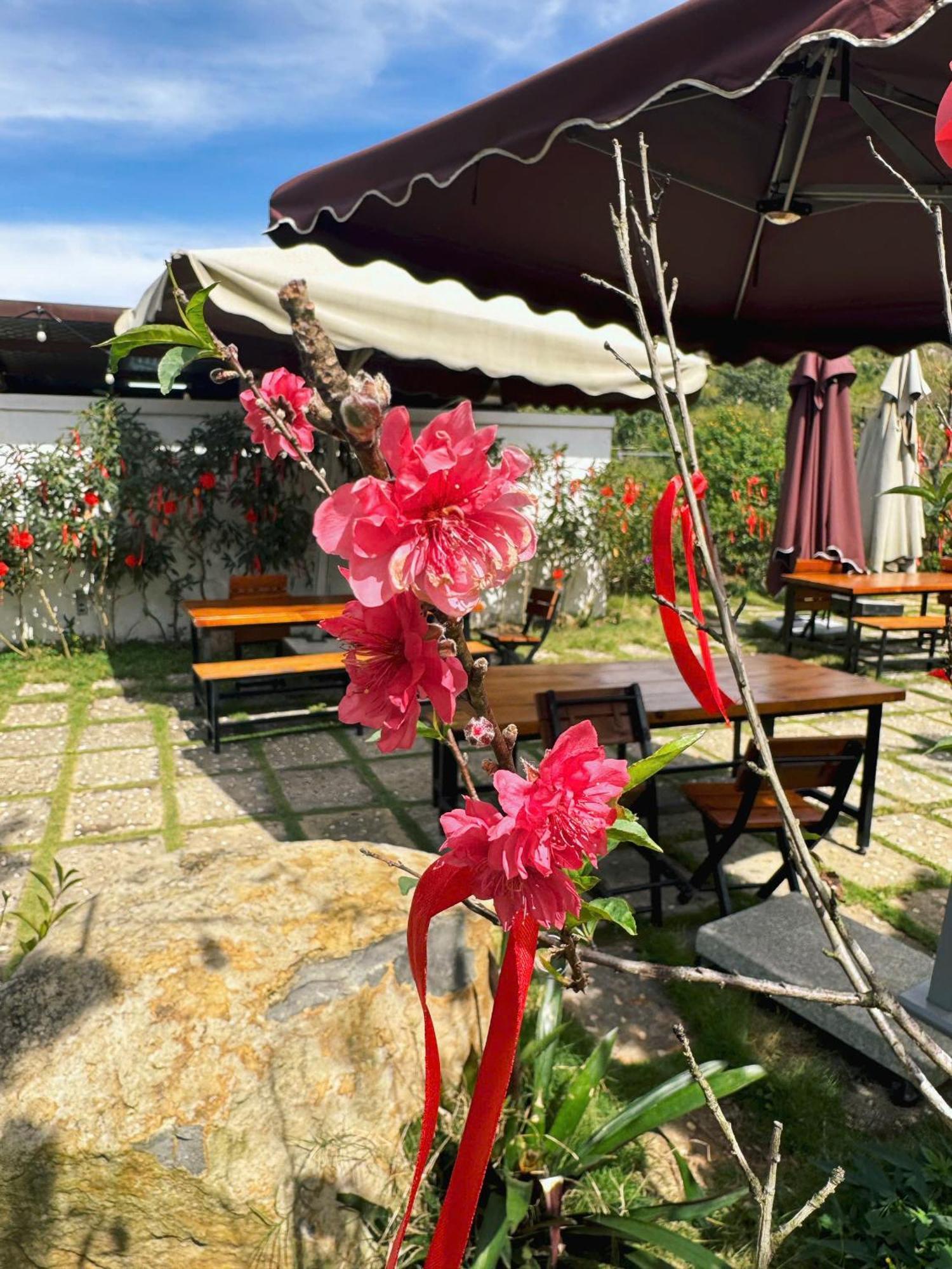 Greeneco Da Lat Hotel - Khach San Green Eco Dalat Exteriér fotografie