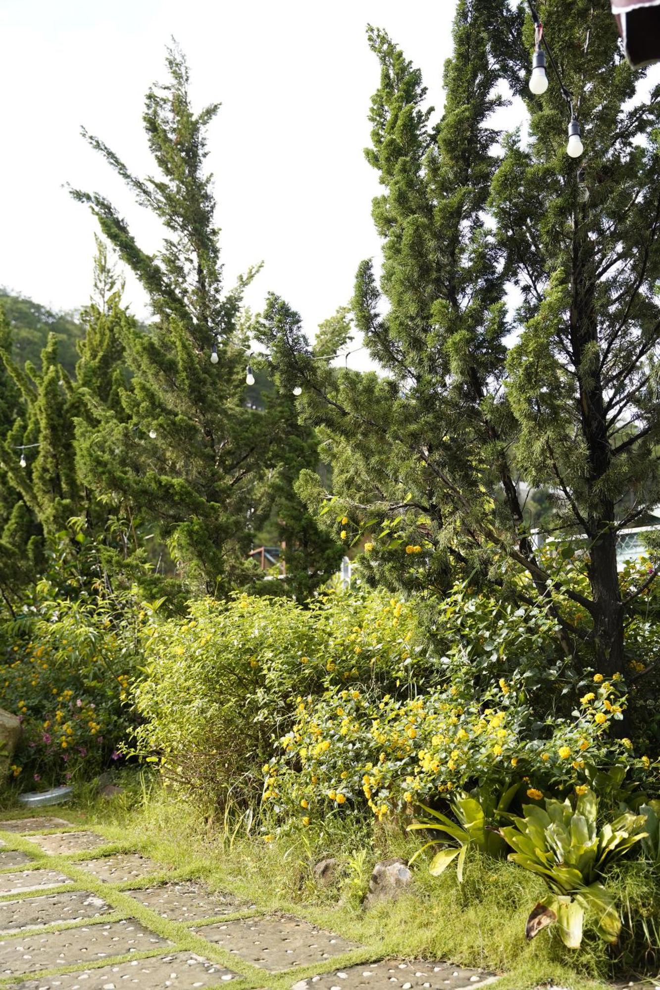 Greeneco Da Lat Hotel - Khach San Green Eco Dalat Exteriér fotografie